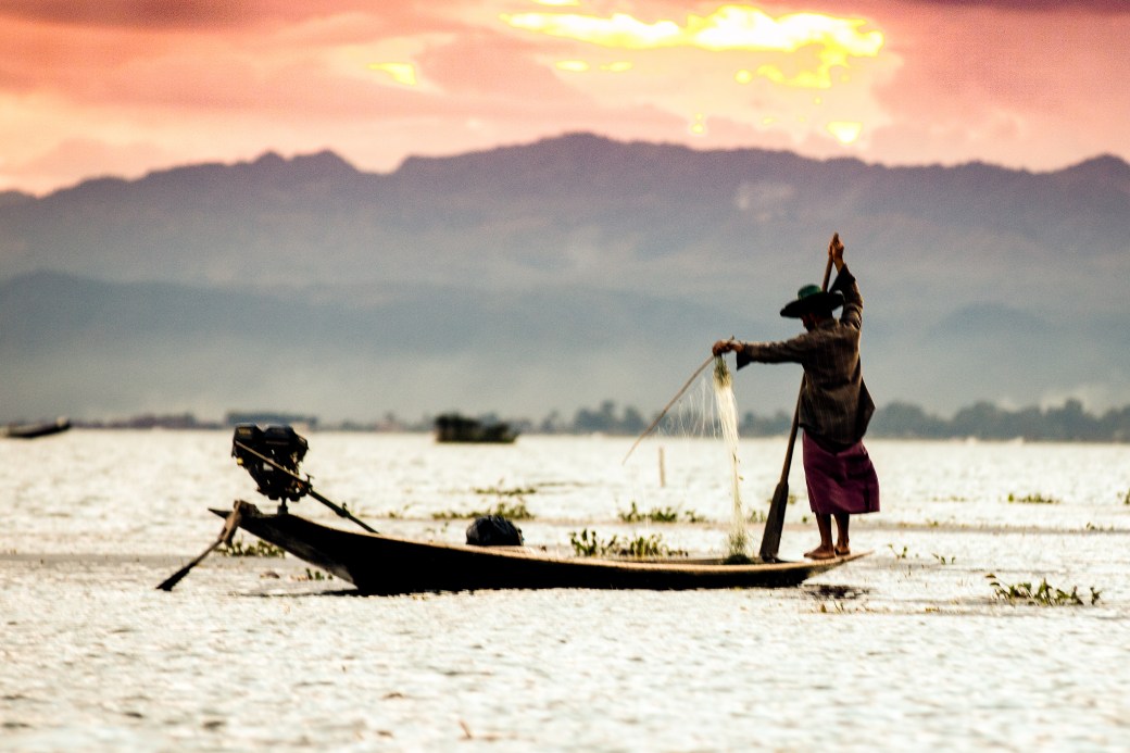 inle-fish8-